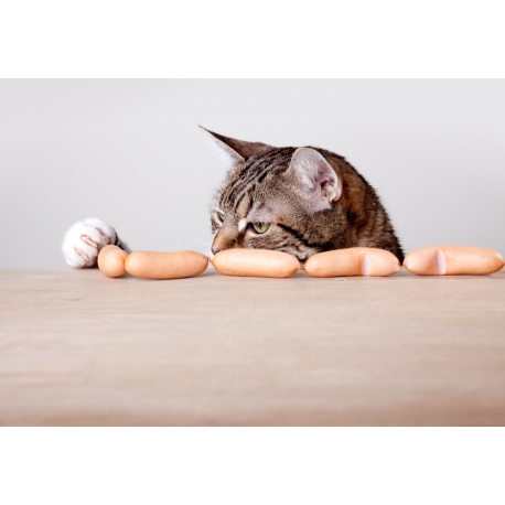 Pour des conseils autour de la nourriture de votre chat, rendez-vous sur catapart.fr